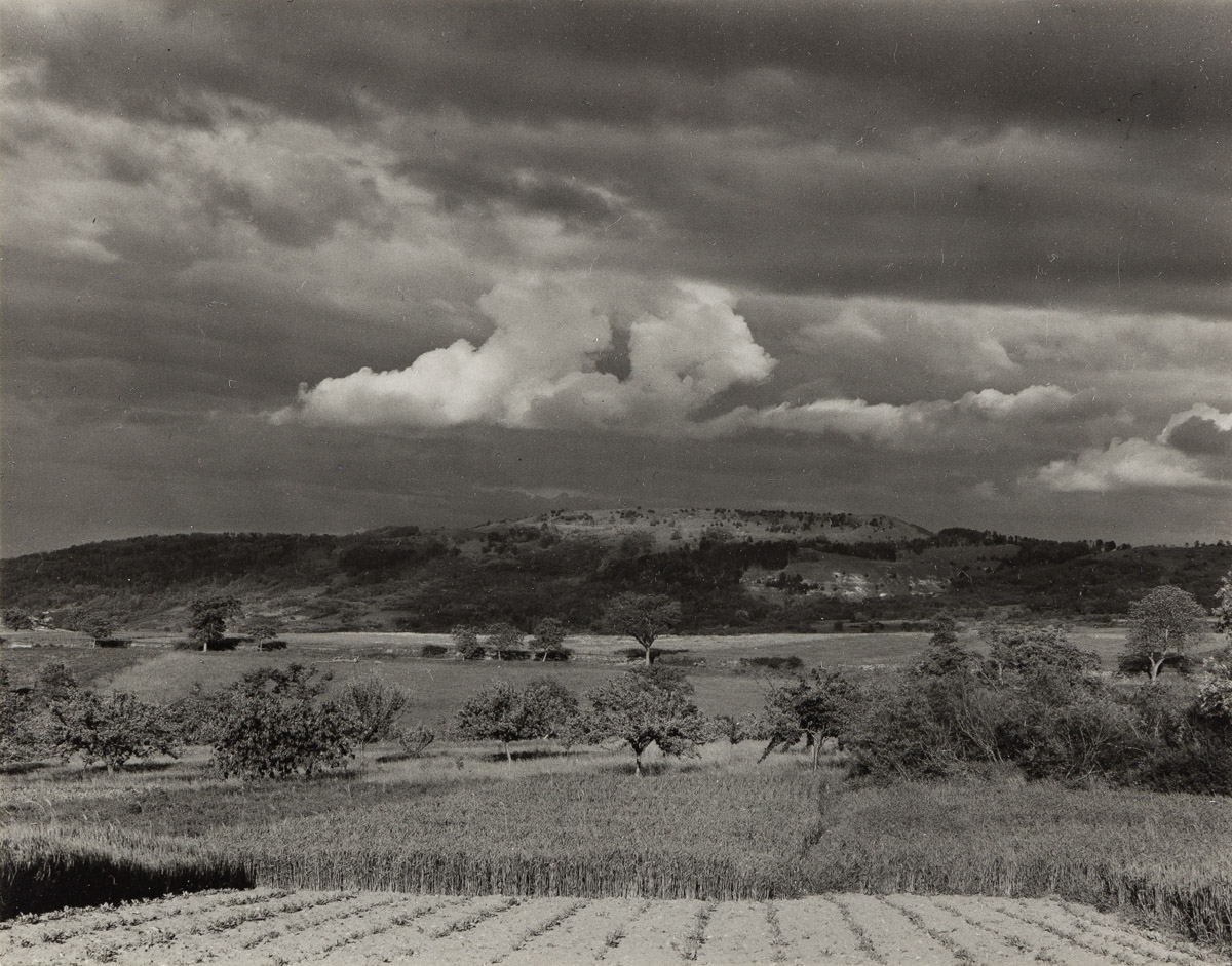 PAUL STRAND (1890-1976) Landscape near Sea in Montélimar, France.